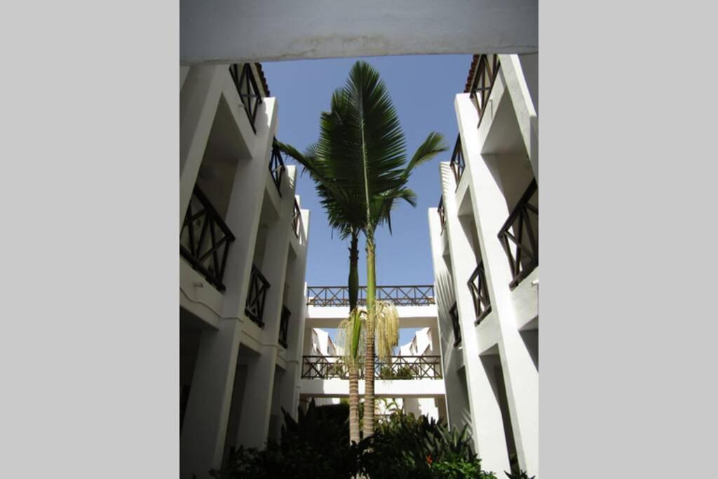 2 Bedrooms Playa Las Americas Parque Santiago I Heated Pool Playa de las Americas  Exterior photo